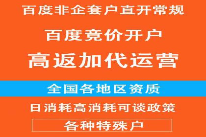 百度推广代运营公司案例：创意广告设计助力品牌崛起
